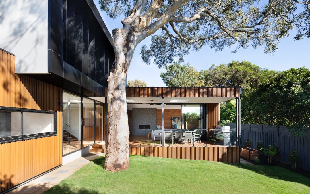 Why a Clean Yard Makes Holiday Lights Shine Brighter