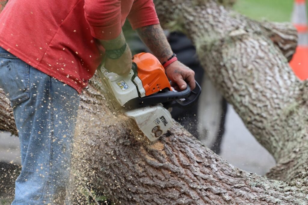 A man cutting down a tree with a chainsaw for Junk Removal Florida.