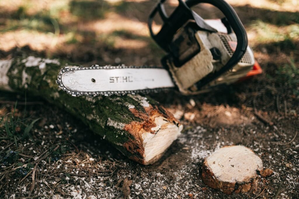 A chainsaw on a log prepared for Property Cleanout.