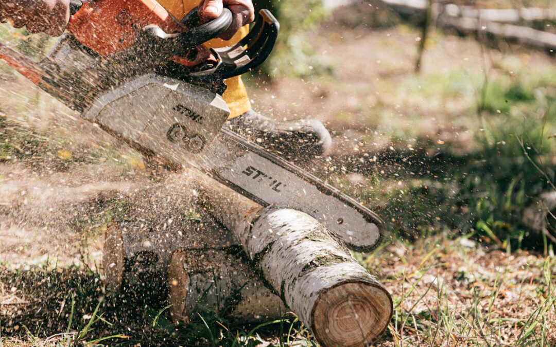 A person cutting logs with a chainsaw for tree removal in Florida.